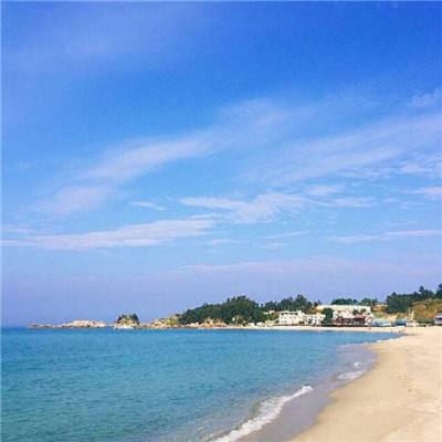 一路胖布丁游戏(暂未上线)v1.0 安卓版