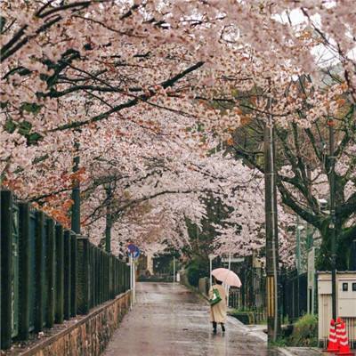 城市斗士vs街头帮派游戏下载